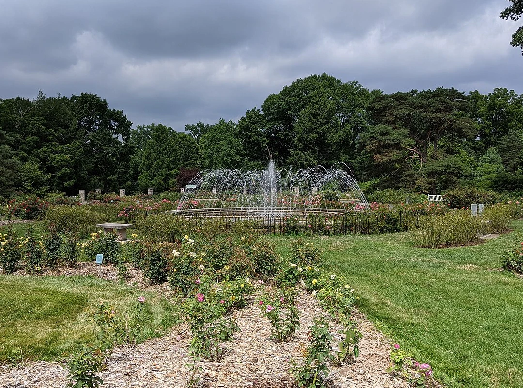Park of Roses