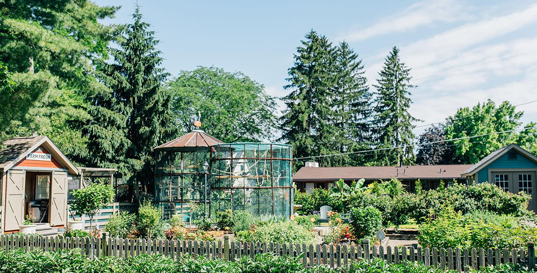 Stroll Through Our Luscious Gardens 