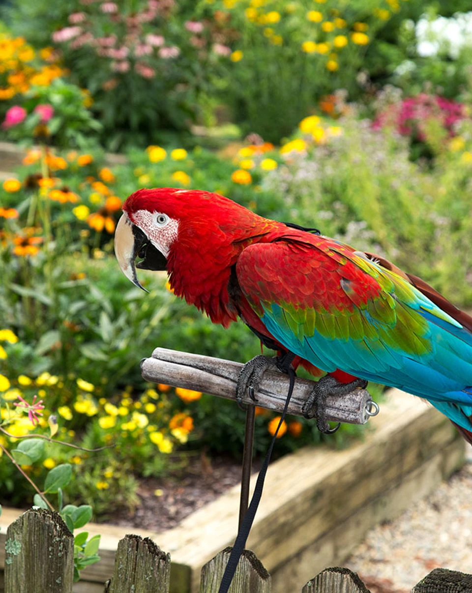 Bringing Island Life to Columbus, Ohio