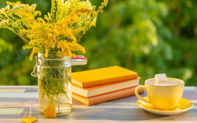 Why Is Our Bed & Breakfast a Great Spot for a Writers’ Retreat?